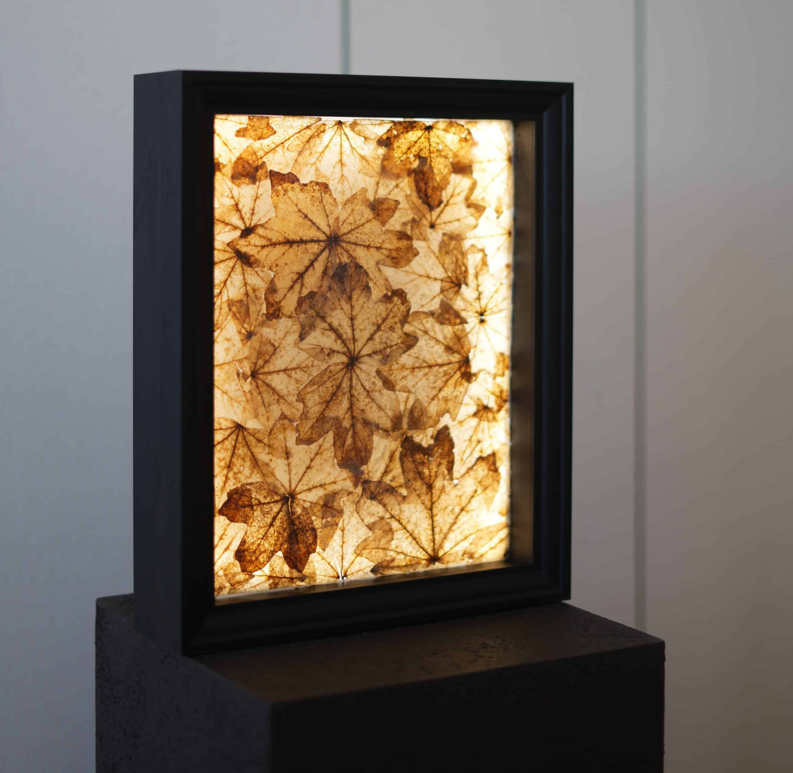 Iluminación LED ambiental en hogar