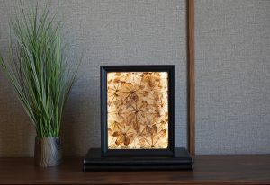 Lámpara artesanal encendida con hojas de arce menor iluminadas desde dentro