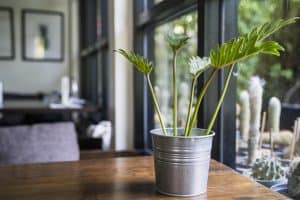El Arte de la Sostenibilidad. Cómo Diseñar un Hogar en Armonía con la Naturaleza
